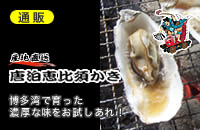産地直送！唐泊恵比須かきを開く